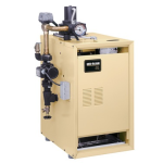 CGt Gas Boiler